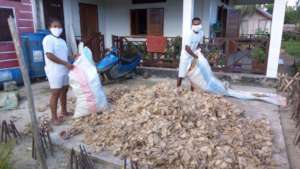 The cocoons have arrived!