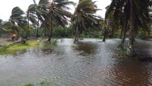 Cyclone floods new SEPALI property