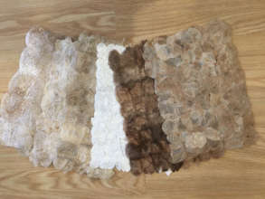 Six Species of Wild Silk Papers