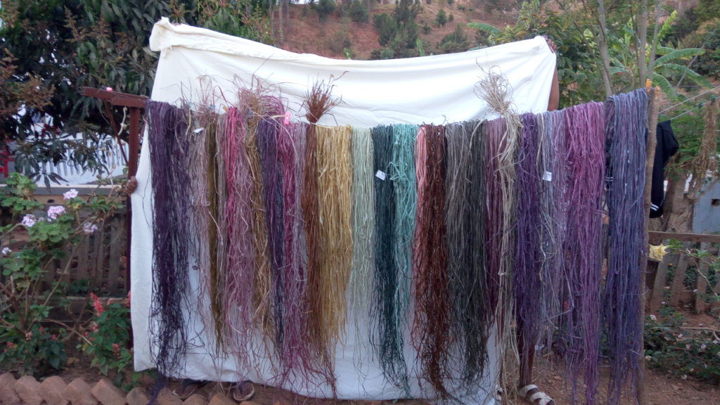 Natural Dye Workshop with the team, Madagascar