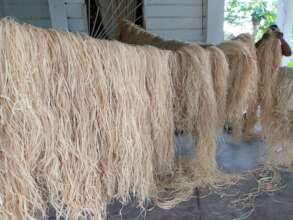 First Raffia deposit of 2022