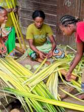 Preparing raffia for woven textiles