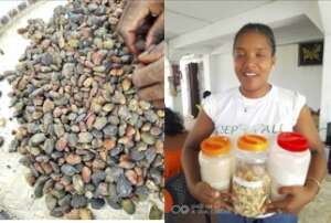 Jackfruit seeds and dye