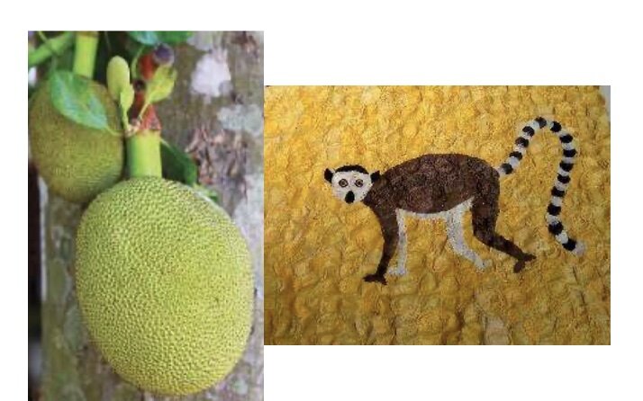 jackfruit for yellow dye