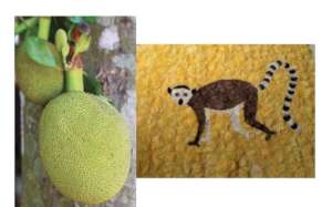 jackfruit for yellow dye