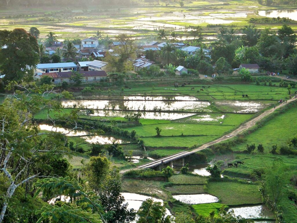 Transform Lives in Madagascar with Silk and Raffia
