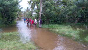 Flooded road to Sepali office after hurricane
