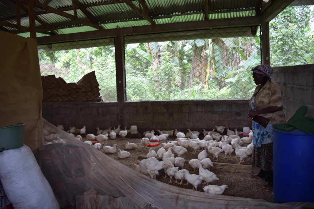 Help 15 girls escape poverty