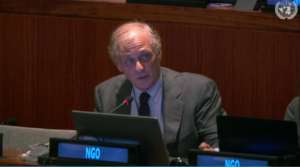 PIVAT presentation at United Nations