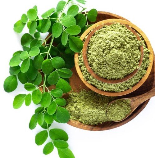 Moringa leave powder