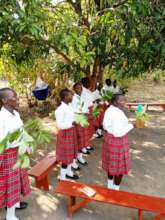 Girls wave the branches of tree a symbol of LOVE