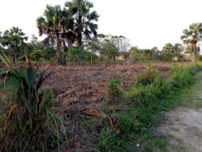 Community efforts to dig and clear the land