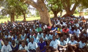 A portion of Children in need