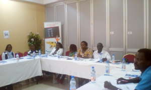 A cross section of District Coordinators: Training