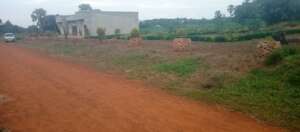 Switching onto Built Environment