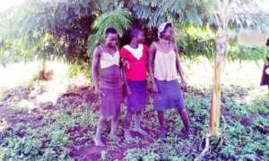 3 girls of 20 Girls recruited for KIFA's program