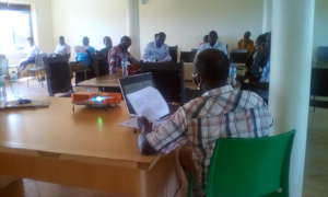 Cross section of participants