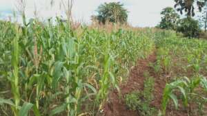 A demonstration farm for learning a lot