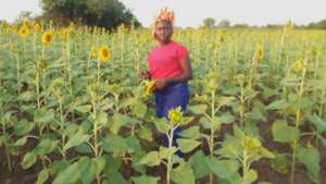 Establishing a demonstration garden for a purpose