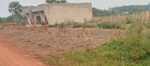 Organizational development because your donations