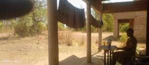 Following up the past students: Project outcome