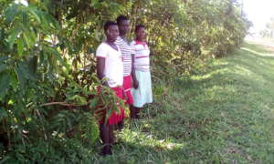 3 among missing girls found