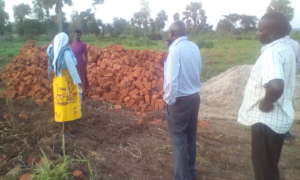 Chairperson Board and Executive flag of f building