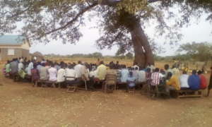 Angic: community in full views