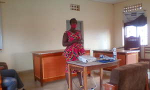 Representative of the supplements