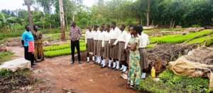 Students visit Tree planting nursery bed