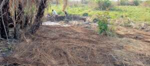 Youth at work at bricks making