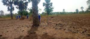 The youth clearing the proposed site for building