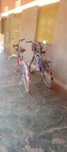 2 Bicycles procured facilitate transport: research