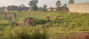 Greening the Proposed Institute of Home Economics