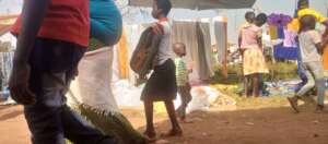 Understanding how market operates with season