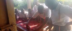 Theoretical knowledge transfers to practice