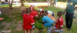 Environmental concern: training, raising seedlings