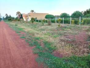 The building: Institute Home Economics in progress