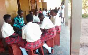 Students under an intensive training at Institute