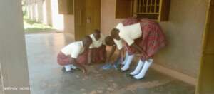 Medium size group learning