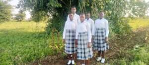 Girls of the Institute: transformation process