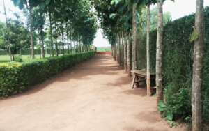 A sample of best designed home identified