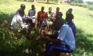 Meeting 2017 candidate: OK