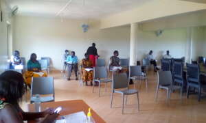 Governmental officials building the capacity NGOs