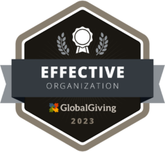A badge: Awarded as an effective organization