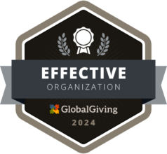 An effective organization