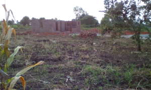 At Apedi, Construction takes off