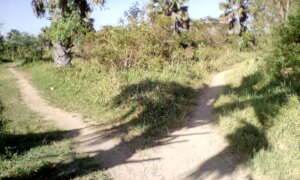 A triangle piece land for construction procured