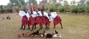the girls enjoy the site after their meal