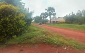 Girls are sent out for further research